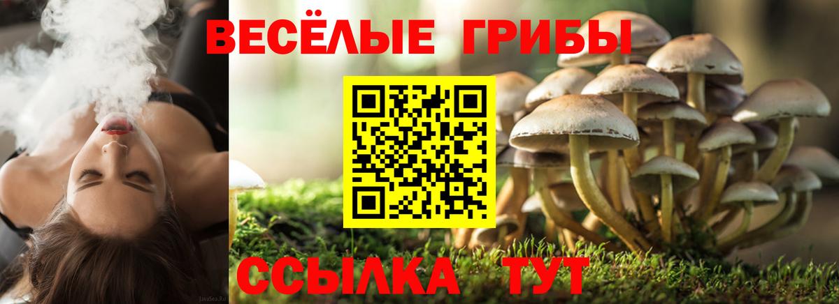 Псилоцибиновые грибы мухоморы Бор