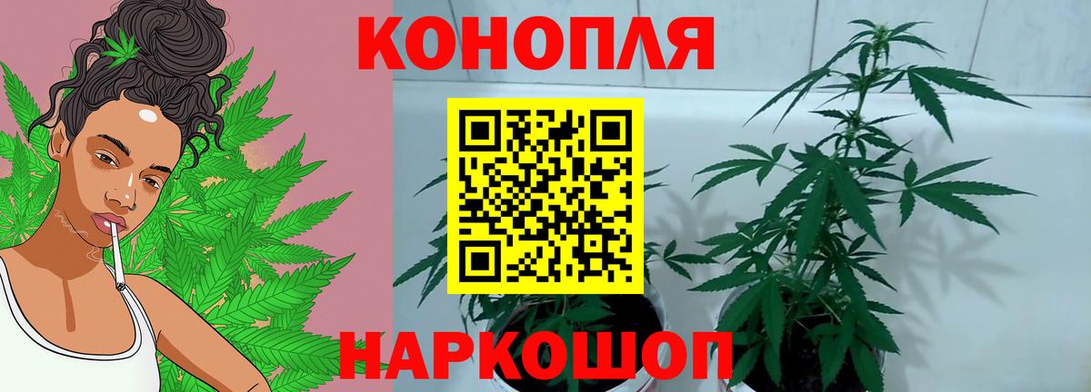 Канабис конопля  Бошки марихуана LSD WEED  Бор  Вход с VPN 